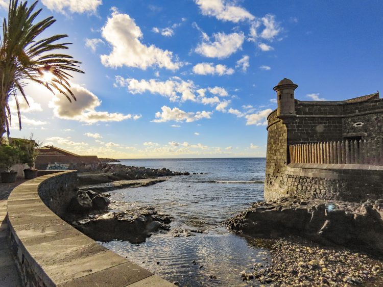 Rediscovering the Literary Haven: Librerías in Santa Cruz de Tenerife